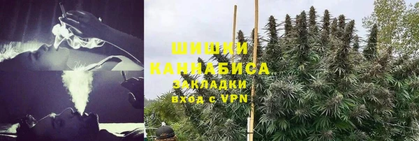 винт Бронницы