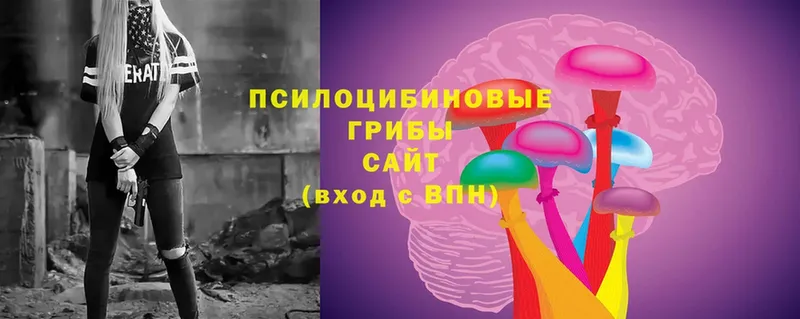 Галлюциногенные грибы Psilocybine cubensis  Салават 